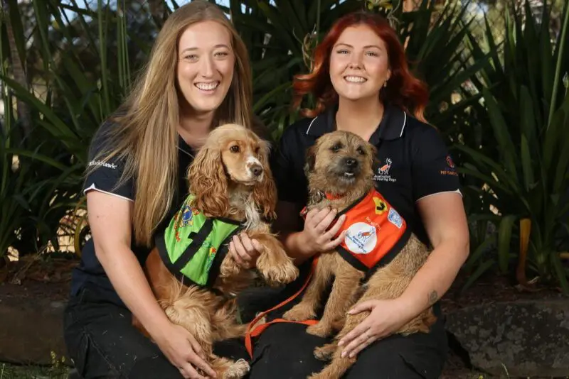 D365-australian lions hearing dogs-7